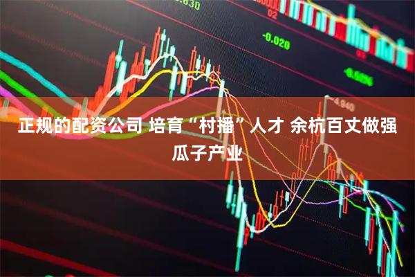 正规的配资公司 培育“村播”人才 余杭百丈做强瓜子产业